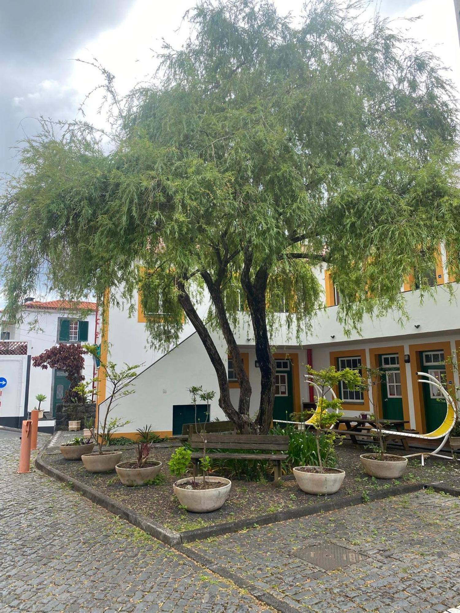 Hospedaria Verdemar Horta  Esterno foto